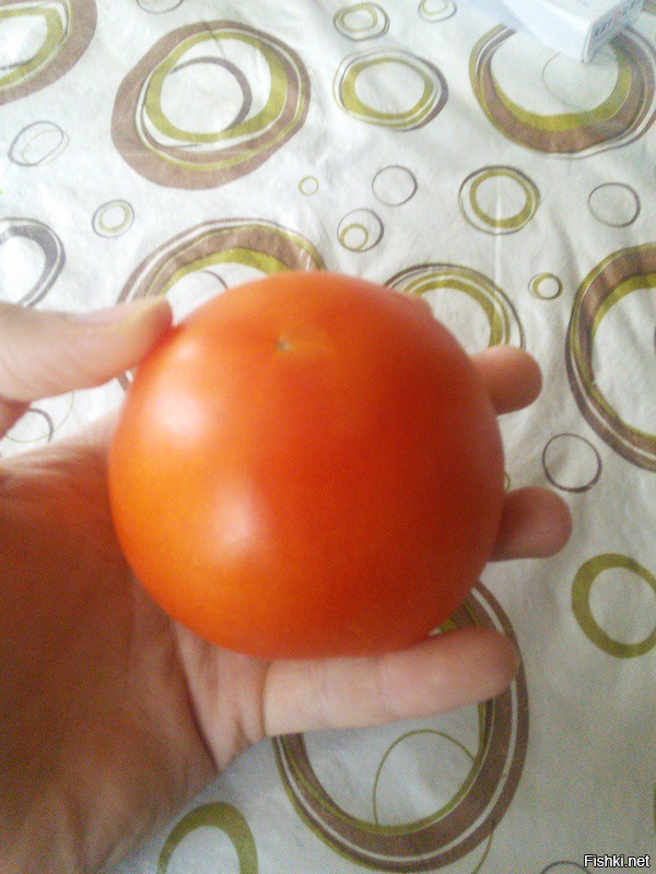 Это помидор Егор=)