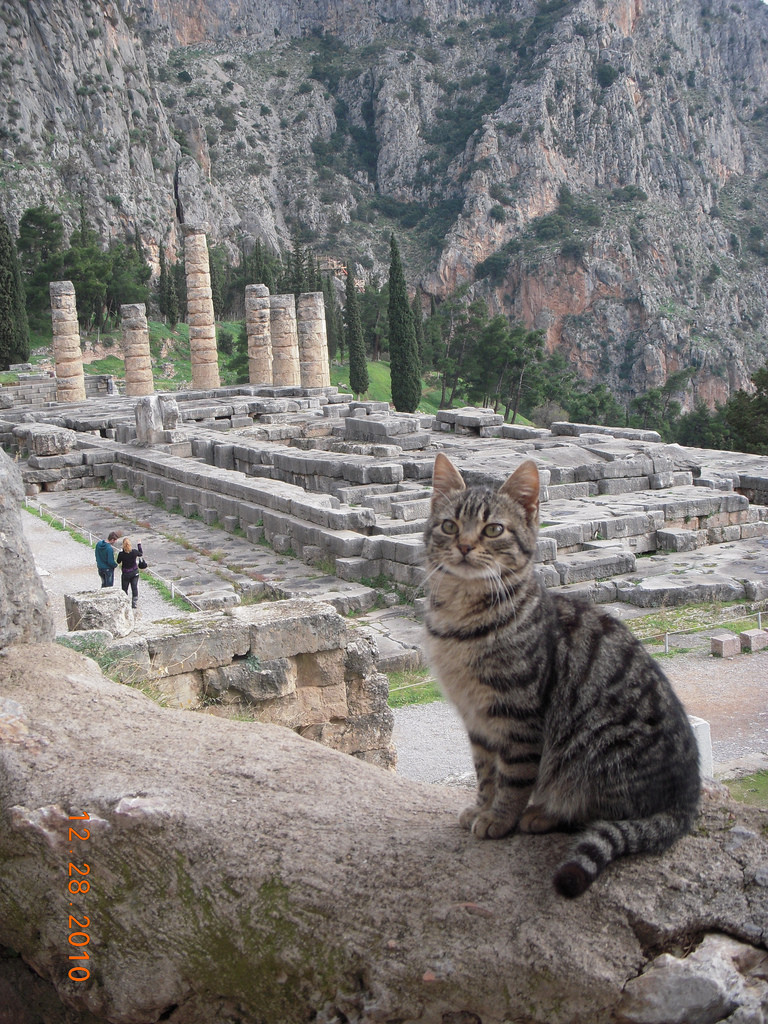 12. Храм Аполлона в Греции на фоне этого очаровательного существа кажется еще более внушительным