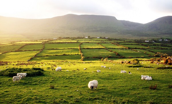 Чудесная природа Ирландии
