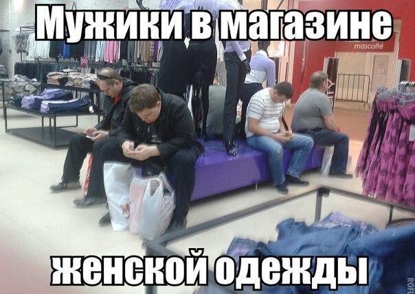 Смешные картинки с надписями