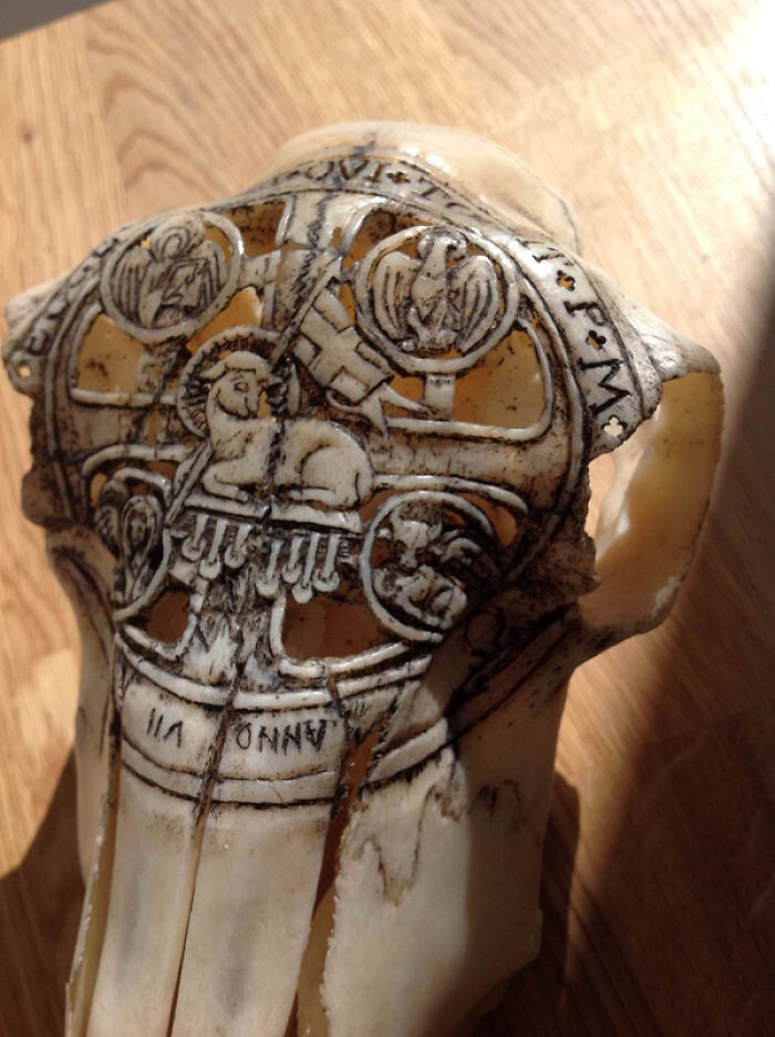 Белорусский мастер превращает черепа в произведения искусства