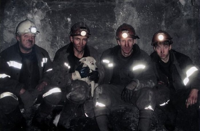 История собаки Ляльки, которой благодарные шахтёры установили памятник