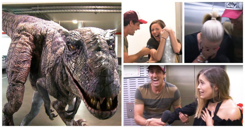 Австралийские радиоведущие разыграли коллег, нарядив своего друга в костюм динозавра