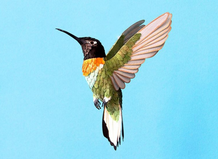 Интересные фото: Невероятные бумажные птички от колумбийской художницы