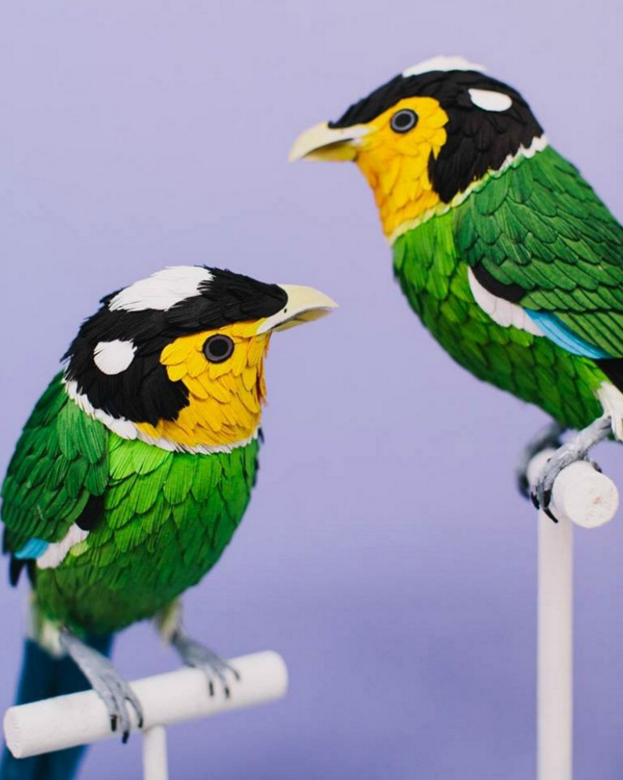 Интересные фото: Невероятные бумажные птички от колумбийской художницы