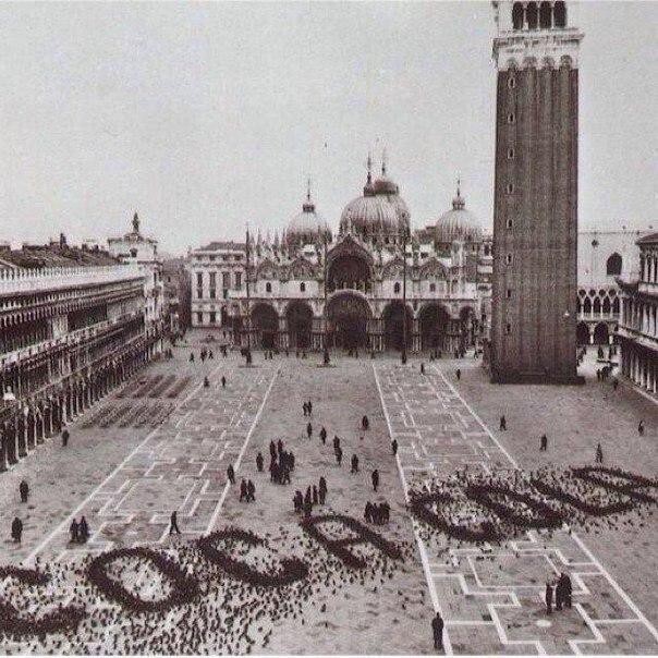 Реклама Coca Cola, созданная с помощью голубей. Венеция, конец 1960-х гг.