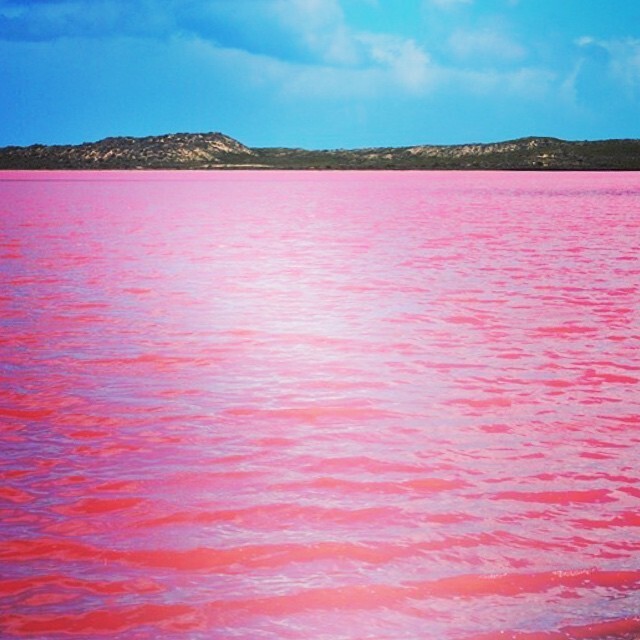 Разгадана тайна розового озера Хиллиер