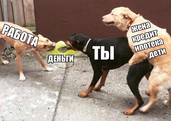 Жизнено.