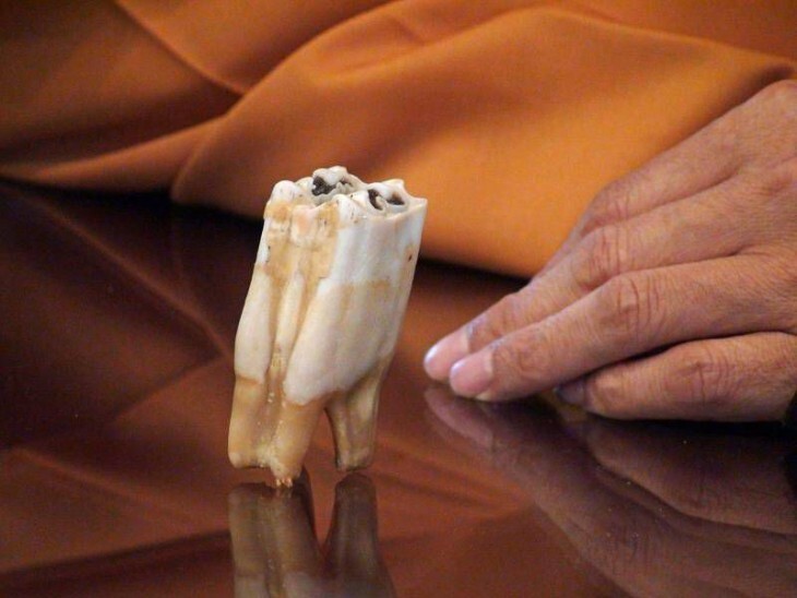 Зуб Будды — символ власти