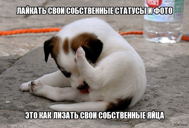 Лайкодрочер профессионал! 