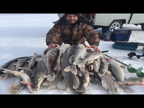 "Бешеная Рыба"Рыбалка в Казахстане 