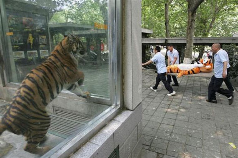 3. Да, здесь можно задать много вопросов, особенно о том, что чувствует тигр слева.