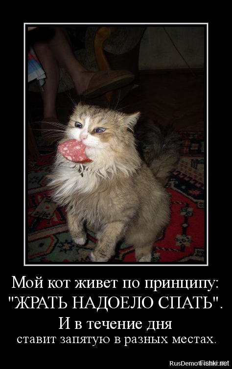 Мир жрать спать картинка