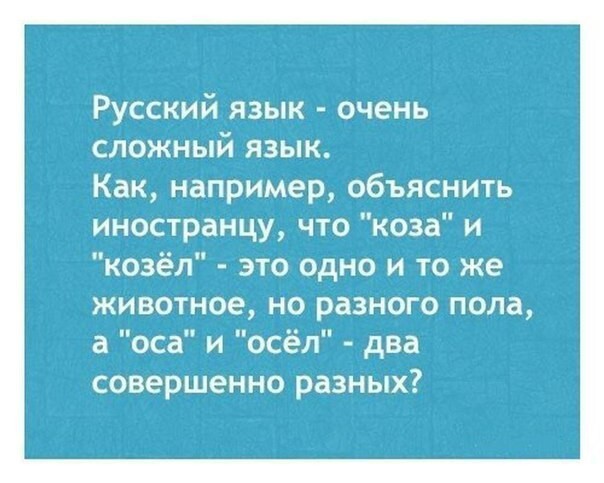 Это русский язык, детка
