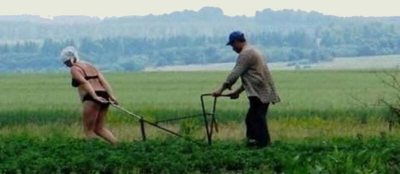 В сельском хозяйстве русские до сих пор используют ручной труд, но от иностранной помощи при этом отказываются, не желая делить свою землю с кем-то ещё.
