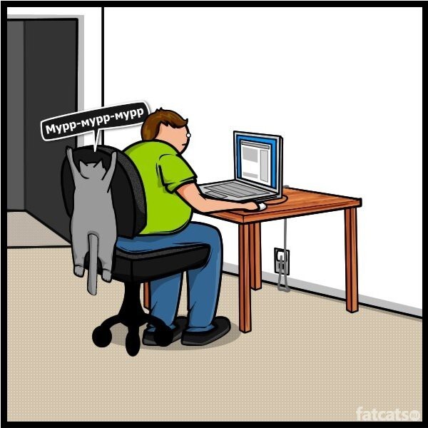 Кот vs интернет