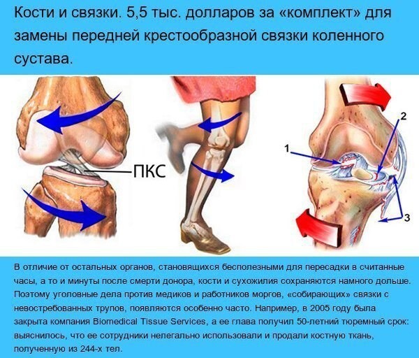 Сколько стоит человек ? ? ?