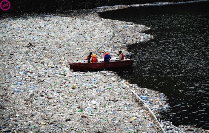 Мир без пластмасс: как аукнется бактерия, поедающая пластик