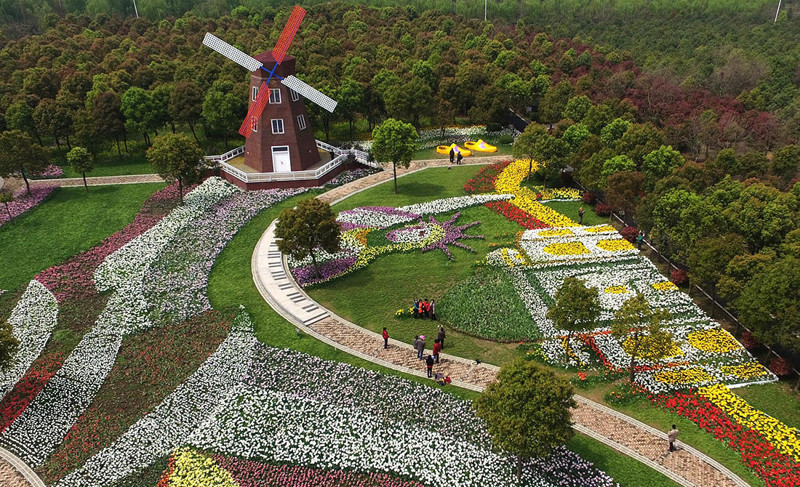 В парках Китая расцвели невероятной красоты тюльпаны