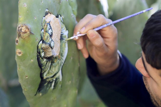Палестинский художник пишет картины на кактусах