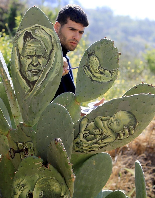 Палестинский художник пишет картины на кактусах