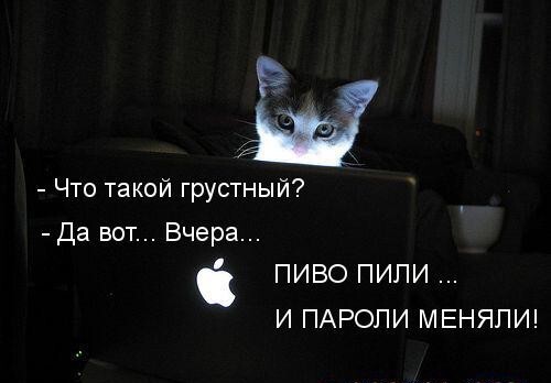 Весенние котэ