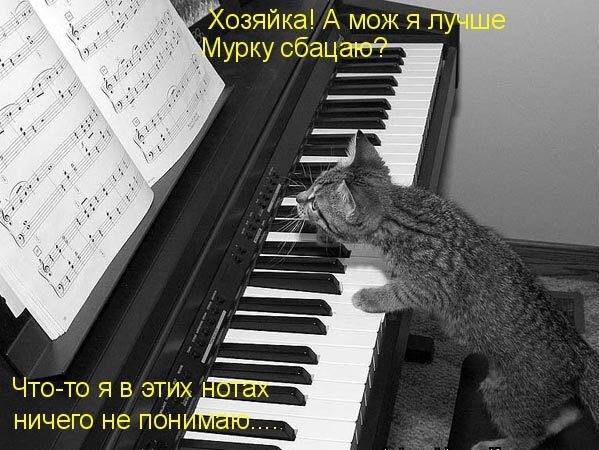 Весенние котэ