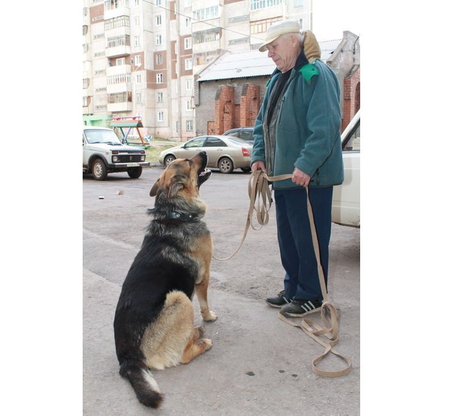 Иркутский пенсионер не пережил разлуки с псом