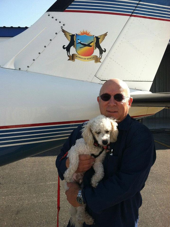 Летчики-волонтеры спасают собак от усыпления