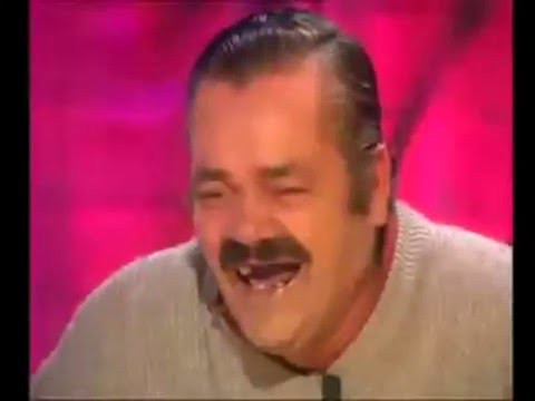 Референдум в Голландии 
