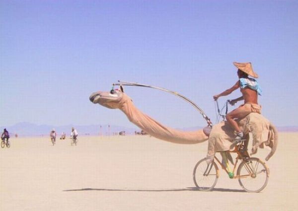  Велосипед вместо верблюда