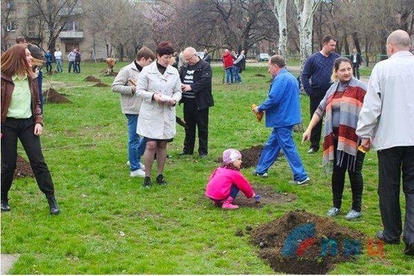 В парке Луганска высадили аллею в память о погибших детях