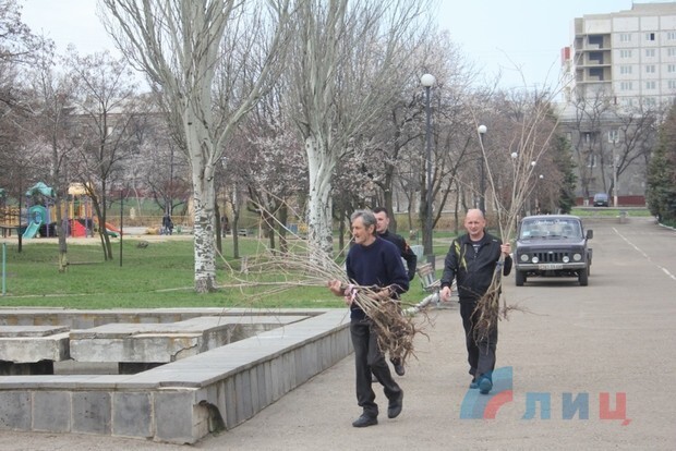 В парке Луганска высадили аллею в память о погибших детях.