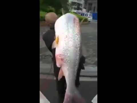 Поймал мужик рыбку 
