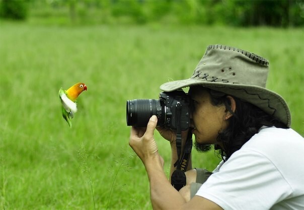 Солянка удивительных фоток, часть 6