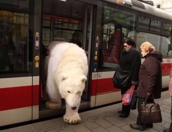 Солянка удивительных фоток, часть 9