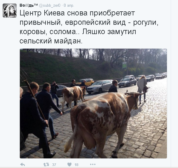 Политические комментарии и картинки из соц. сетей 10/04/2016