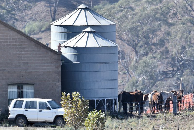 В Австралии фермер морил голодом лошадей