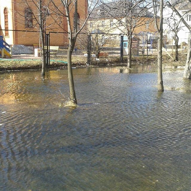 Щербинка, Московская область.