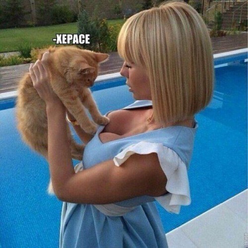 Раскрывая тему сисек