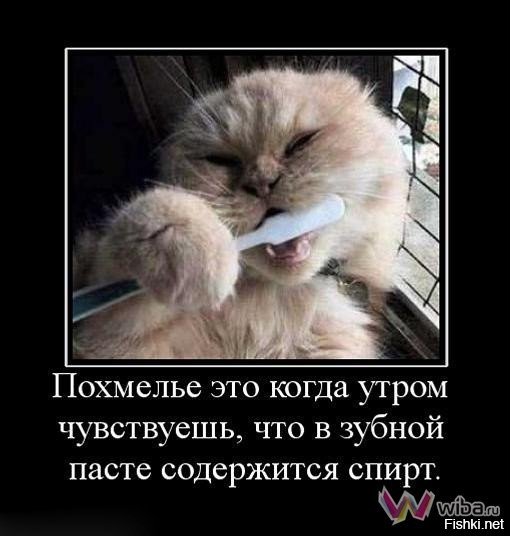 Всех с Новым годом