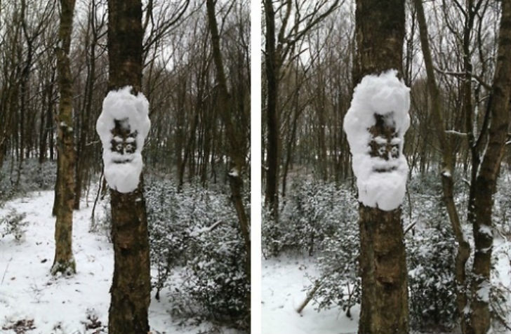 Снежное лицо на дереве.