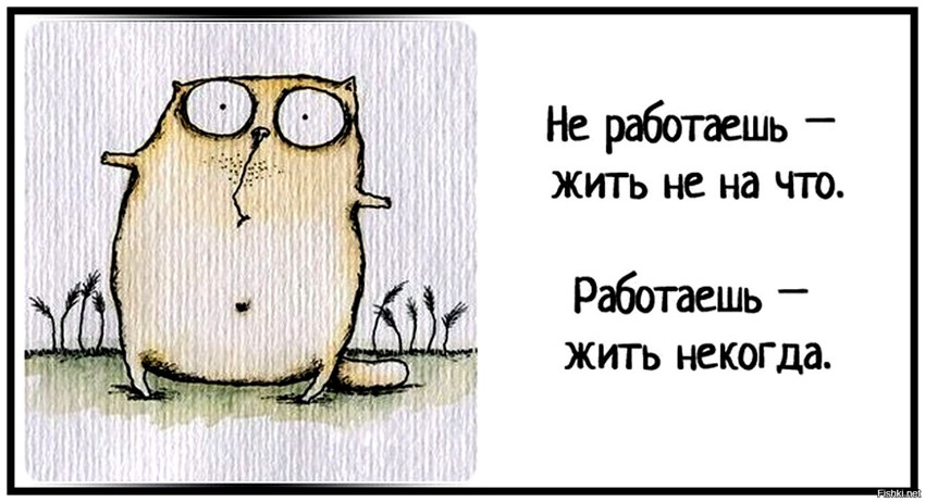 Из солянки от 03.01.2017