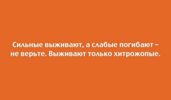 Если это не весело, значит вы делаете это неправильно!