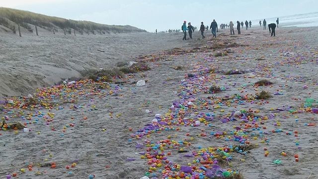 Весь 500-метровый пляж оказался усеян игрушками из киндер-сюрпризов (на русском языке) и деталями от конструктора Лего