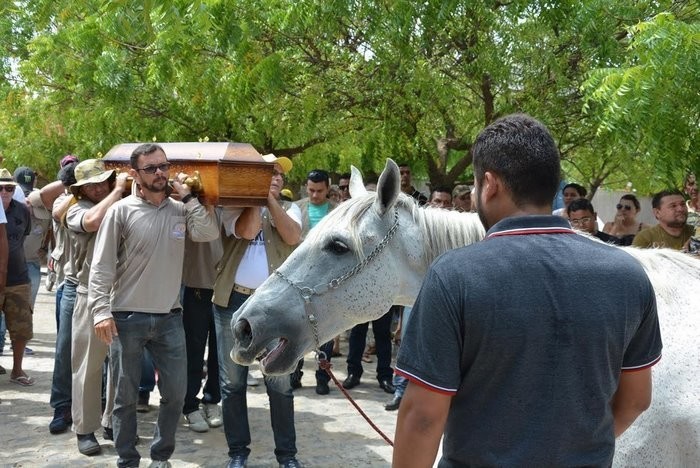 Конь пришел на похороны любимого хозяина, чтобы отдать ему последний долг
