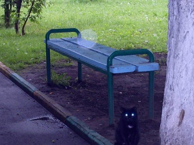 Загадочные Орбы