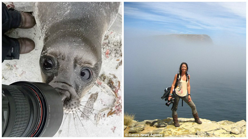 Любопытный и очень фотогеничный тюлень попал в объектив фотокамеры