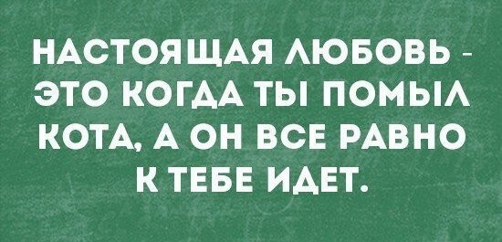 Со здоровьем не шутят: у него нет чувства юмора!