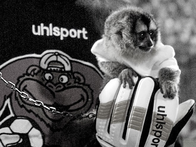 Легенда о черной повязке или как советский футболист убил обезьяну вратаря